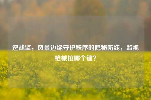 逆战监，风暴边缘守护秩序的隐秘防线，监视枪械按哪个键？