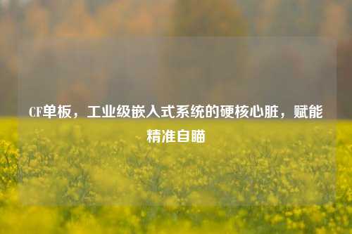 CF单板，工业级嵌入式系统的硬核心脏，赋能精准自瞄