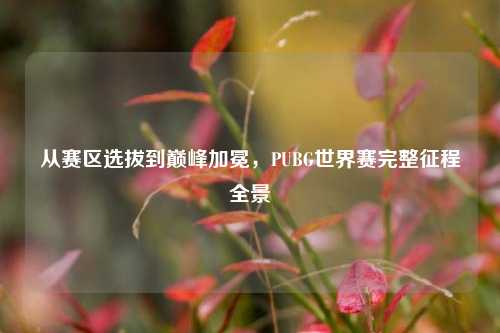 从赛区选拔到巅峰加冕，PUBG世界赛完整征程全景