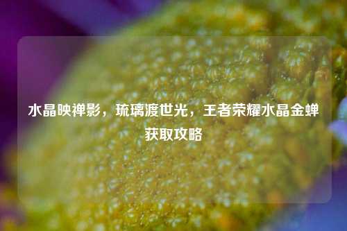 水晶映禅影,琉璃渡世光,王者荣耀水晶金蝉获取攻略