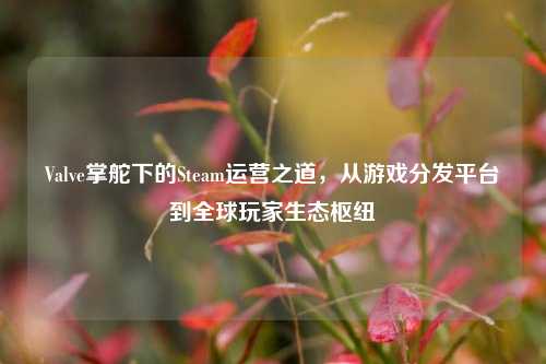 Valve掌舵下的Steam运营之道，从游戏分发平台到全球玩家生态枢纽