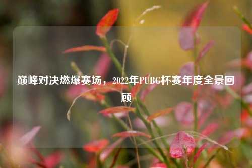 巅峰对决燃爆赛场，2022年PUBG杯赛年度全景回顾