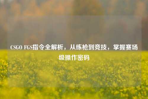 CSGO FGS指令全解析，从练枪到竞技，掌握赛场级操作密码