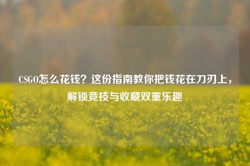 CSGO怎么花钱？这份指南教你把钱花在刀刃上，解锁竞技与收藏双重乐趣