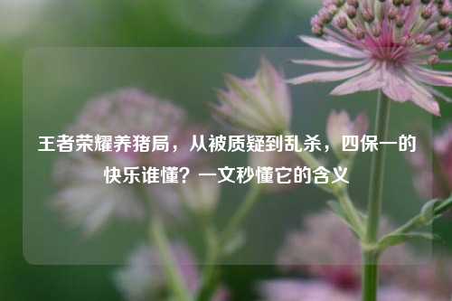 王者荣耀养猪局,从被质疑到乱杀,四保一的快乐谁懂?一文秒懂它的含义