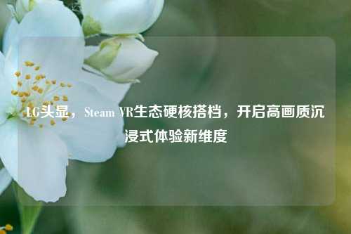 LG头显,Steam VR生态硬核搭档,开启高画质沉浸式体验新维度