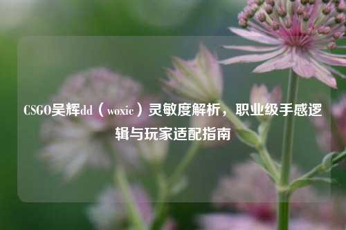 CSGO吴辉dd(woxic)灵敏度解析,职业级手感逻辑与玩家适配指南