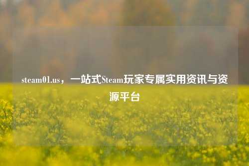 steam01.us,一站式Steam玩家专属实用资讯与资源平台