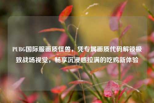 PUBG国际服画质怪兽，凭专属画质代码解锁极致战场视觉，畅享沉浸感拉满的吃鸡新体验