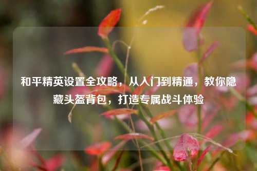 和平精英设置全攻略,从入门到精通,教你隐藏头盔背包,打造专属战斗体验