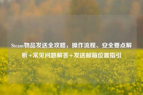 Steam物品发送全攻略，操作流程、安全要点解析+常见问题解答+发送邮箱位置指引