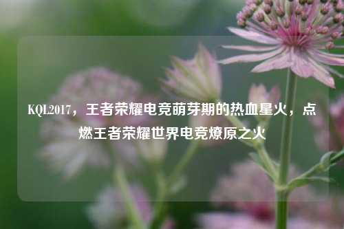 KQL2017,王者荣耀电竞萌芽期的热血星火,点燃王者荣耀世界电竞燎原之火