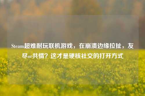Steam超难耐玩联机游戏,在崩溃边缘拉扯,友尽or共情?这才是硬核社交的打开方式