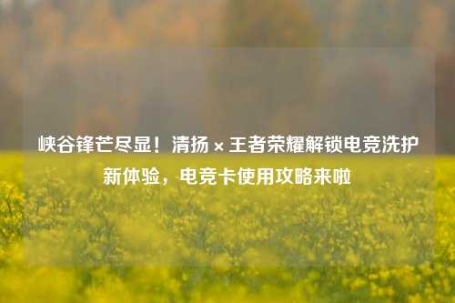 峡谷锋芒尽显!清扬×王者荣耀解锁电竞洗护新体验,电竞卡使用攻略来啦