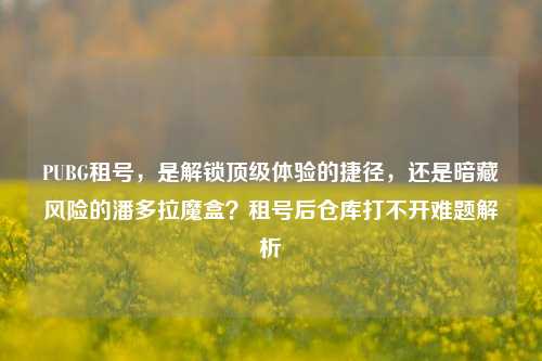 PUBG租号,是解锁顶级体验的捷径,还是暗藏风险的潘多拉魔盒?租号后仓库打不开难题解析