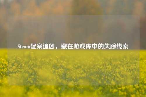 Steam疑案追凶，藏在游戏库中的失踪线索