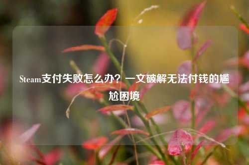Steam支付失败怎么办?一文破解无法付钱的尴尬困境
