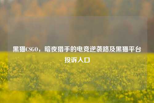 黑猫CSGO,暗夜猎手的电竞逆袭路及黑猫平台投诉入口