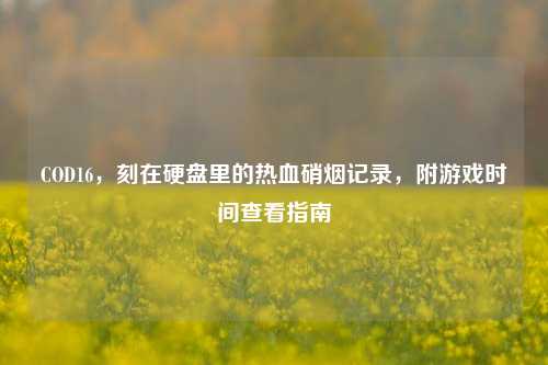 COD16，刻在硬盘里的热血硝烟记录，附游戏时间查看指南