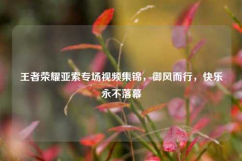 王者荣耀亚索专场视频集锦，御风而行，快乐永不落幕