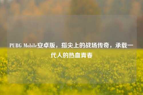 PUBG Mobile安卓版，指尖上的战场传奇，承载一代人的热血青春
