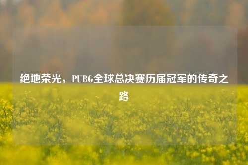 绝地荣光,PUBG全球总决赛历届冠军的传奇之路