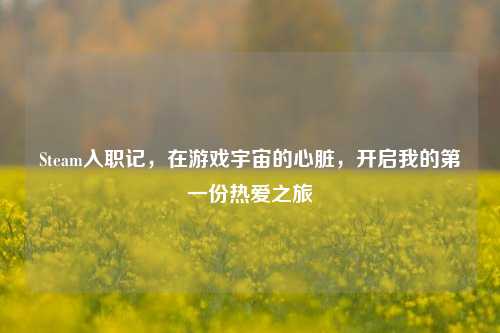 Steam入职记,在游戏宇宙的心脏,开启我的第一份热爱之旅