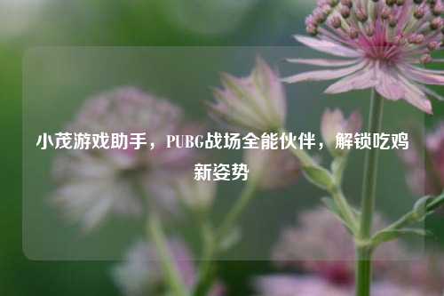 小茂游戏助手,PUBG战场全能伙伴,解锁吃鸡新姿势