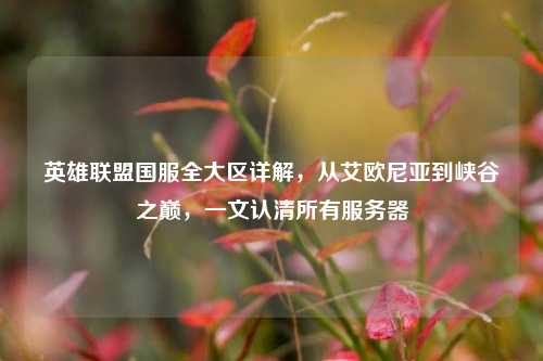 英雄联盟国服全大区详解,从艾欧尼亚到峡谷之巅,一文认清所有服务器