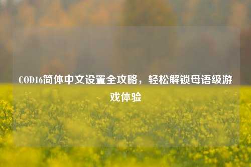 COD16简体中文设置全攻略,轻松解锁母语级游戏体验