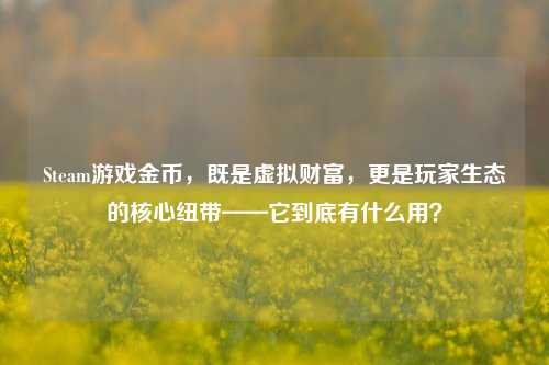 Steam游戏金币,既是虚拟财富,更是玩家生态的核心纽带——它到底有什么用?