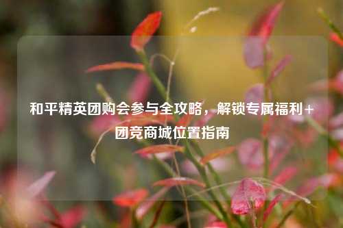 和平精英团购会参与全攻略,解锁专属福利+团竞商城位置指南