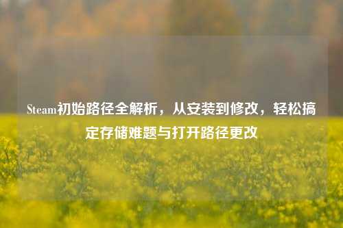 Steam初始路径全解析,从安装到修改,轻松搞定存储难题与打开路径更改
