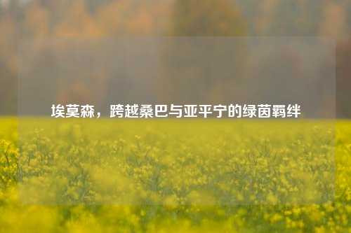 埃莫森,跨越桑巴与亚平宁的绿茵羁绊