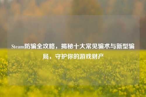 Steam防骗全攻略，揭秘十大常见骗术与新型骗局，守护你的游戏财产