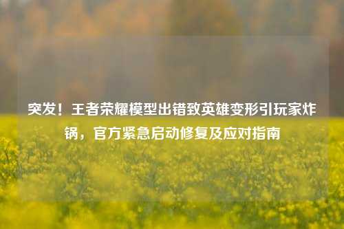 突发!王者荣耀模型出错致英雄变形引玩家炸锅,官方紧急启动修复及应对指南