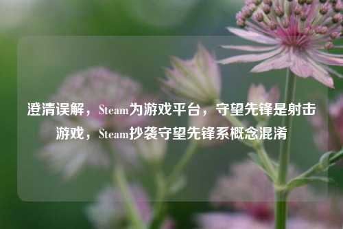 澄清误解,Steam为游戏平台,守望先锋是射击游戏,Steam抄袭守望先锋系概念混淆