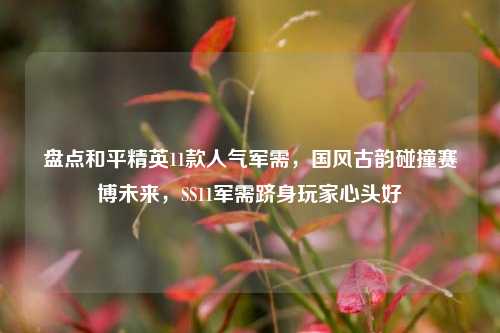 盘点和平精英11款人气军需,国风古韵碰撞赛博未来,SS11军需跻身玩家心头好