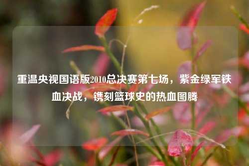 重温央视国语版2010总决赛第七场,紫金绿军铁血决战,镌刻篮球史的热血图腾
