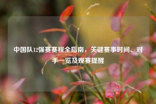 中国队12强赛赛程全指南,关键赛事时间、对手一览及观赛提醒