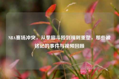 NBA赛场冲突,从拳脚斗殴到规则重塑,那些被铭记的事件与视频回顾