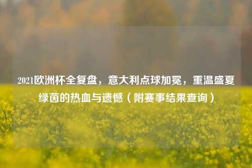 2021欧洲杯全复盘,意大利点球加冕,重温盛夏绿茵的热血与遗憾(附赛事结果查询)