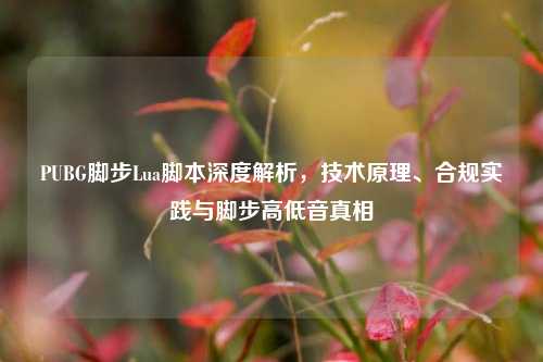 PUBG脚步Lua脚本深度解析,技术原理、合规实践与脚步高低音真相