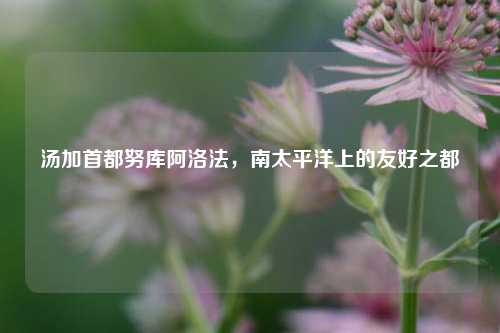 汤加首都努库阿洛法，南太平洋上的友好之都