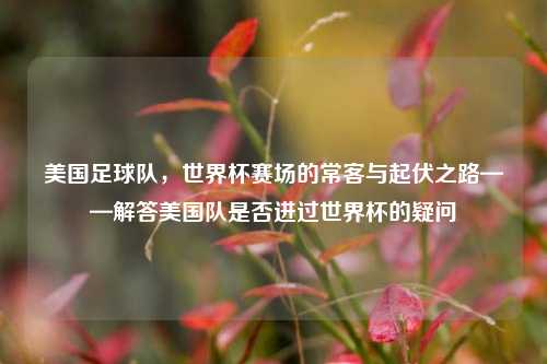 美国足球队,世界杯赛场的常客与起伏之路——解答美国队是否进过世界杯的疑问