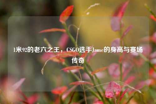 1米92的老六之王,CSGO选手Jame的身高与赛场传奇