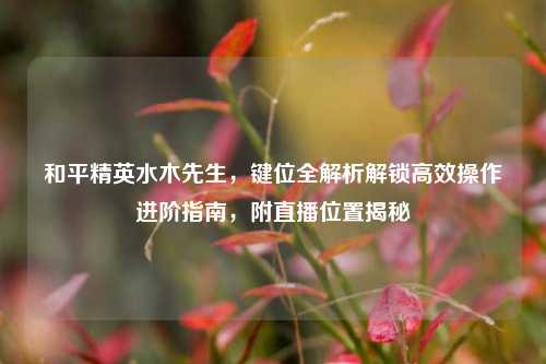 和平精英水木先生,键位全解析解锁高效操作进阶指南,附直播位置揭秘