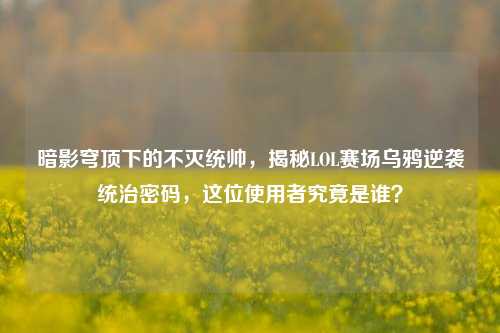 暗影穹顶下的不灭统帅,揭秘LOL赛场乌鸦逆袭统治密码,这位使用者究竟是谁?