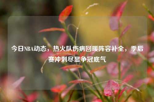 今日NBA动态，热火队伤病回暖阵容补全，季后赛冲刺尽显争冠底气