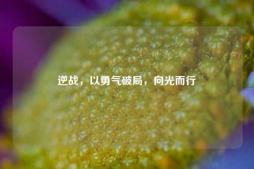 逆战,以勇气破局,向光而行